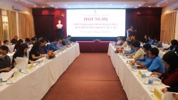Triển khai kế hoạch tổ chức Đại hội công đoàn các cấp của Công đoàn Viên chức Việt Nam