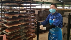 Xây dựng văn hóa an toàn trong doanh nghiệp tại Việt Nam