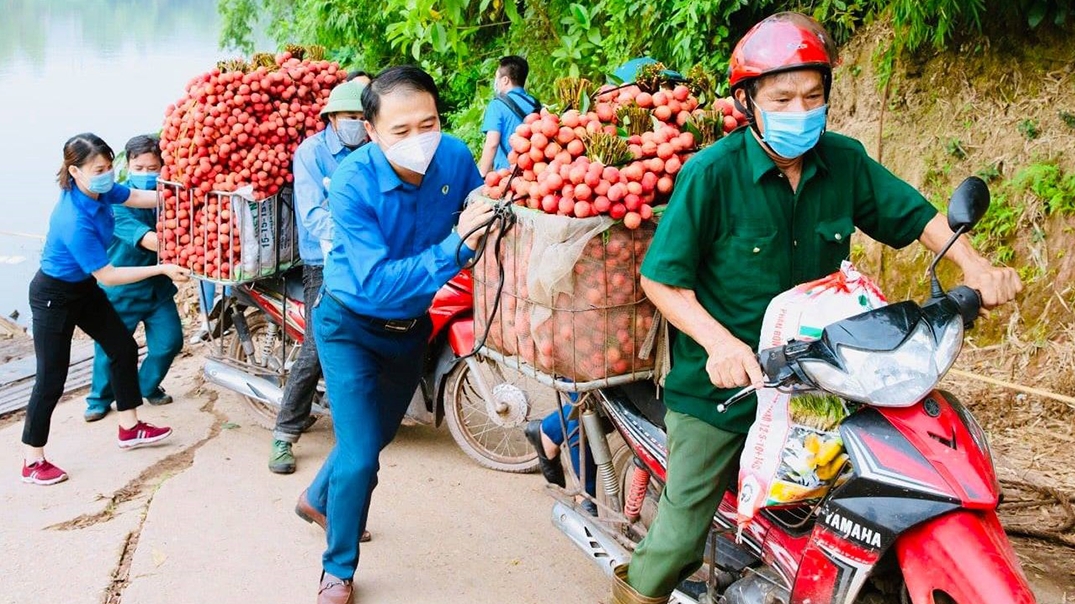Liên đoàn Lao động Bắc Giang gửi thư ngỏ kêu gọi hỗ trợ tiêu thụ vải thiều