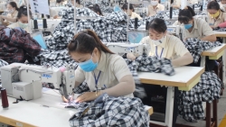 Khánh Hòa: Nhiều doanh nghiệp trả lương cao hơn mức tối thiểu vùng