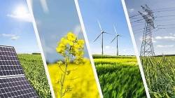 Những lợi ích của phát triển nguồn năng lượng xanh