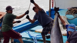 Nghiệp đoàn nghề cá ở Khánh Hòa: Sâu sát, chăm lo cho ngư dân khó khăn