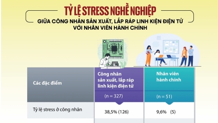 Stress nghề nghiệp giữa công nhân lắp ráp linh kiện điện tử với nhân viên hành chính