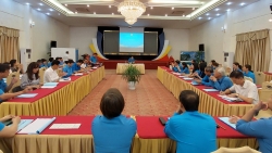 Tổng LĐLĐ Việt Nam tập huấn chuyên đề quan hệ lao động cho cán bộ công đoàn
