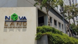NovaGroup tăng tỷ lệ sở hữu cổ phiếu NVL lên hơn 37%