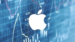 Vì sao Apple ngược dòng xu hướng bán tháo cổ phiếu công nghệ?