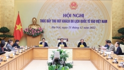 Vì sao Việt Nam "đi trước, về sau" trong phục hồi du lịch quốc tế?