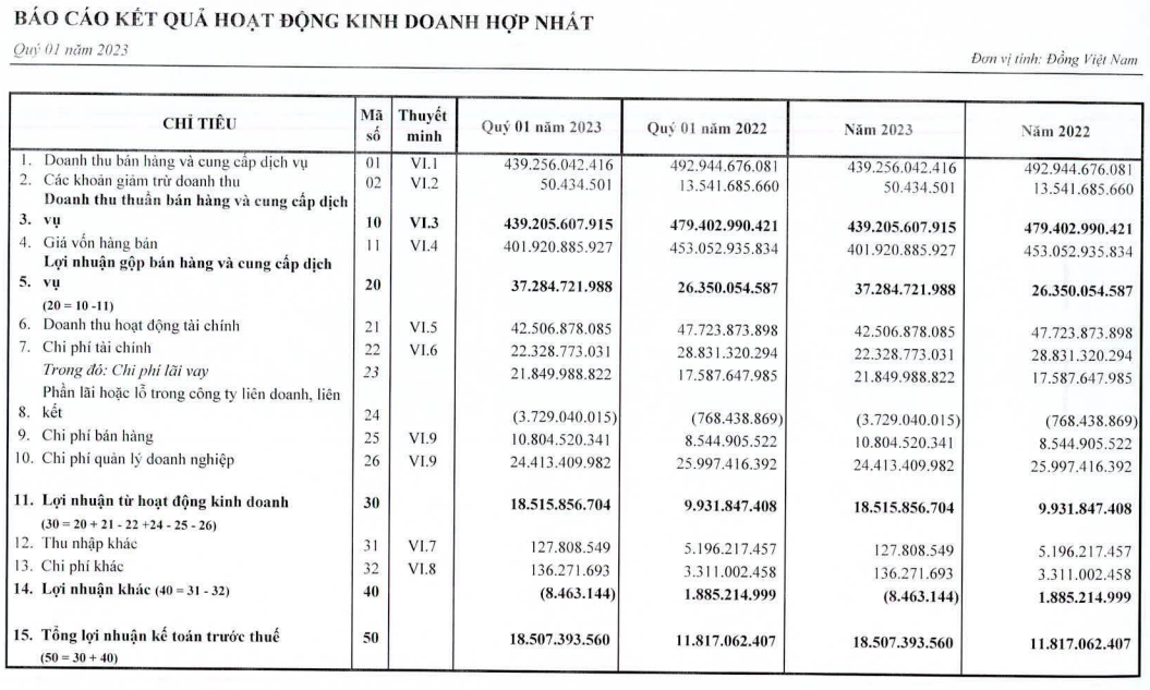 Báo cáo kết quả kinh doanh quý I của SAM Holdings