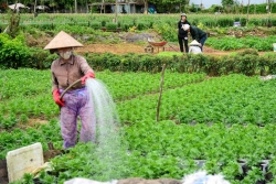 Quảng Ngãi đào tạo nghề nông nghiệp cho 5.170 lao động đến năm 2025
