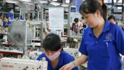 Công ty CP Giày Bình Định thông báo tạm dừng việc 700 lao động