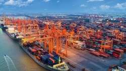 Ngân sách TP.HCM tăng gần 2.700 tỷ đồng từ phí cảng biển