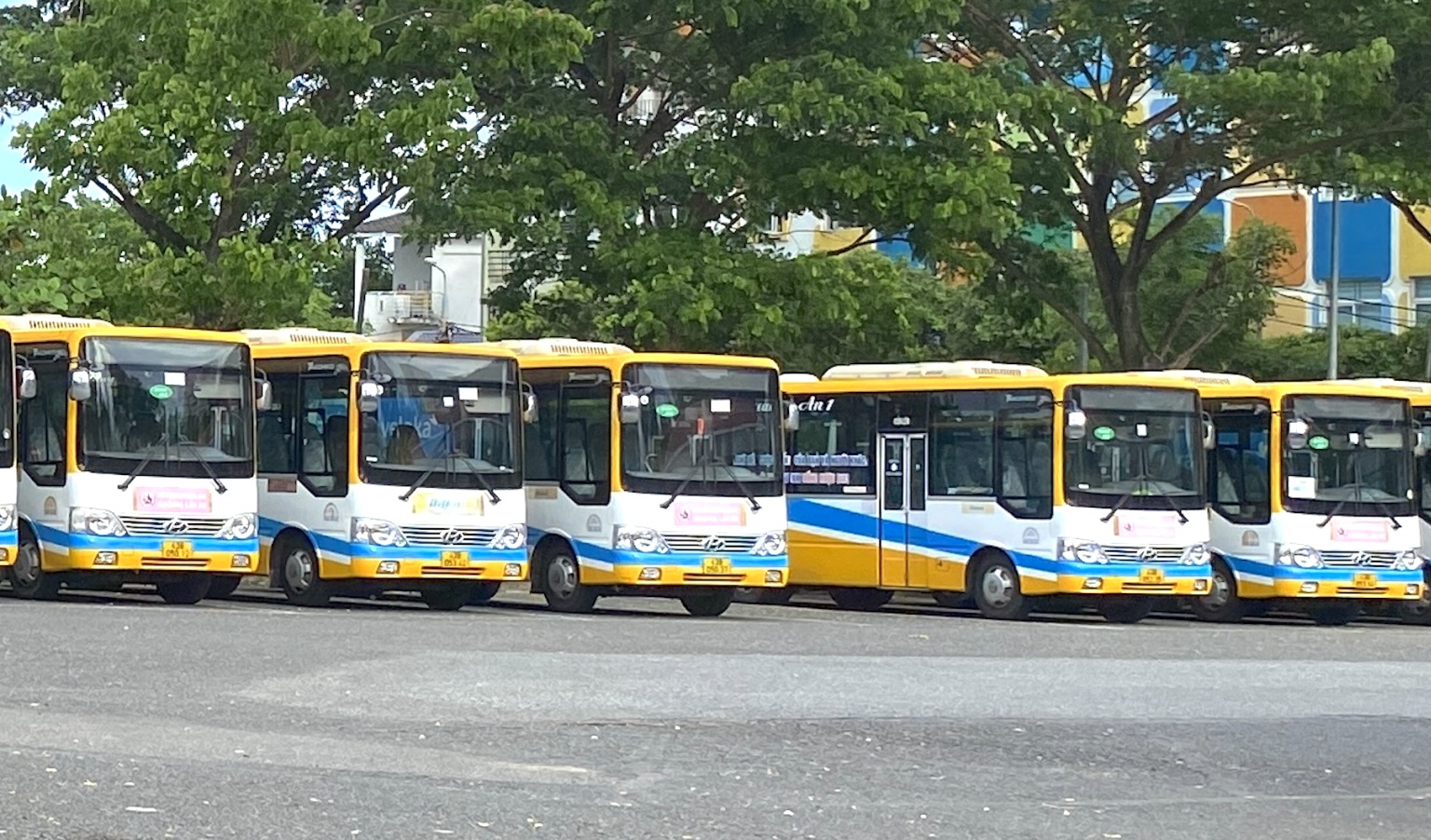 Bài 10: Datramac nói gì việc xe buýt dừng hoạt động do tài xế Quảng An 1 bị nợ lương?