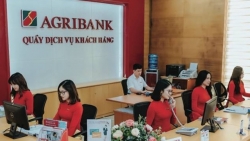 Agribank tuyển dụng gần 600 chỉ tiêu tại các chi nhánh trong hệ thống