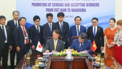 Nhiều cơ hội việc làm cho lao động Việt Nam tại tỉnh Wakayama - Nhật Bản