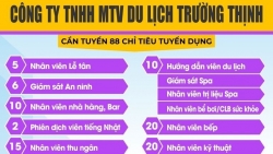 Quảng Bình: Công ty TNHH MTV Du lịch Trường Thịnh tuyển dụng 88 vị trí việc làm hấp dẫn