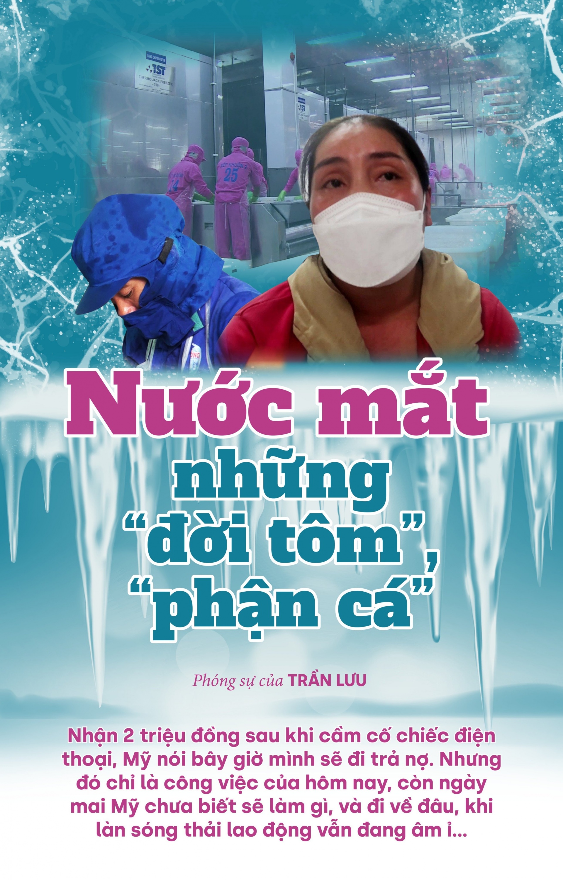 Nước mắt những “đời tôm”, “phận cá”