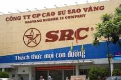 CTCP Cao su Sao Vàng (SRC) sắp chi cổ tức bằng tiền mặt tỷ lệ 8%
