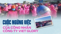 Cuộc ngừng việc của công nhân Công ty Viet Glory