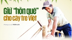 Giữ “hồn quê” cho cây tre Việt
