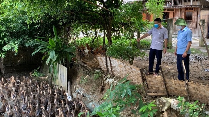 Thái Nguyên: Huyện Định Hóa thực hiện đồng bộ các giải pháp giảm nghèo bền vững