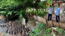 Thái Nguyên: Huyện Định Hóa thực hiện đồng bộ các giải pháp giảm nghèo bền vững