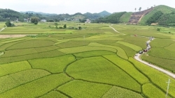 Huyện Phú Lương (Thái Nguyên) vượt chỉ tiêu giảm nghèo bền vững