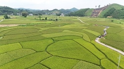 Huyện Phú Lương (Thái Nguyên) vượt chỉ tiêu giảm nghèo bền vững