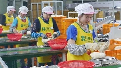 Hàn Quốc tuyển chọn rộng lớn 15.000 làm việc VN vô năm 2024