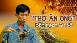 “Thợ ăn ong” bên rạch An Nô