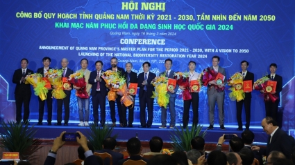 Triển khai quy hoạch tỉnh Quảng Nam cần chú trọng đến nguồn nhân lực