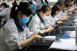 Ngày hội việc làm cho lao động nữ sắp diễn ra tại Bắc Ninh
