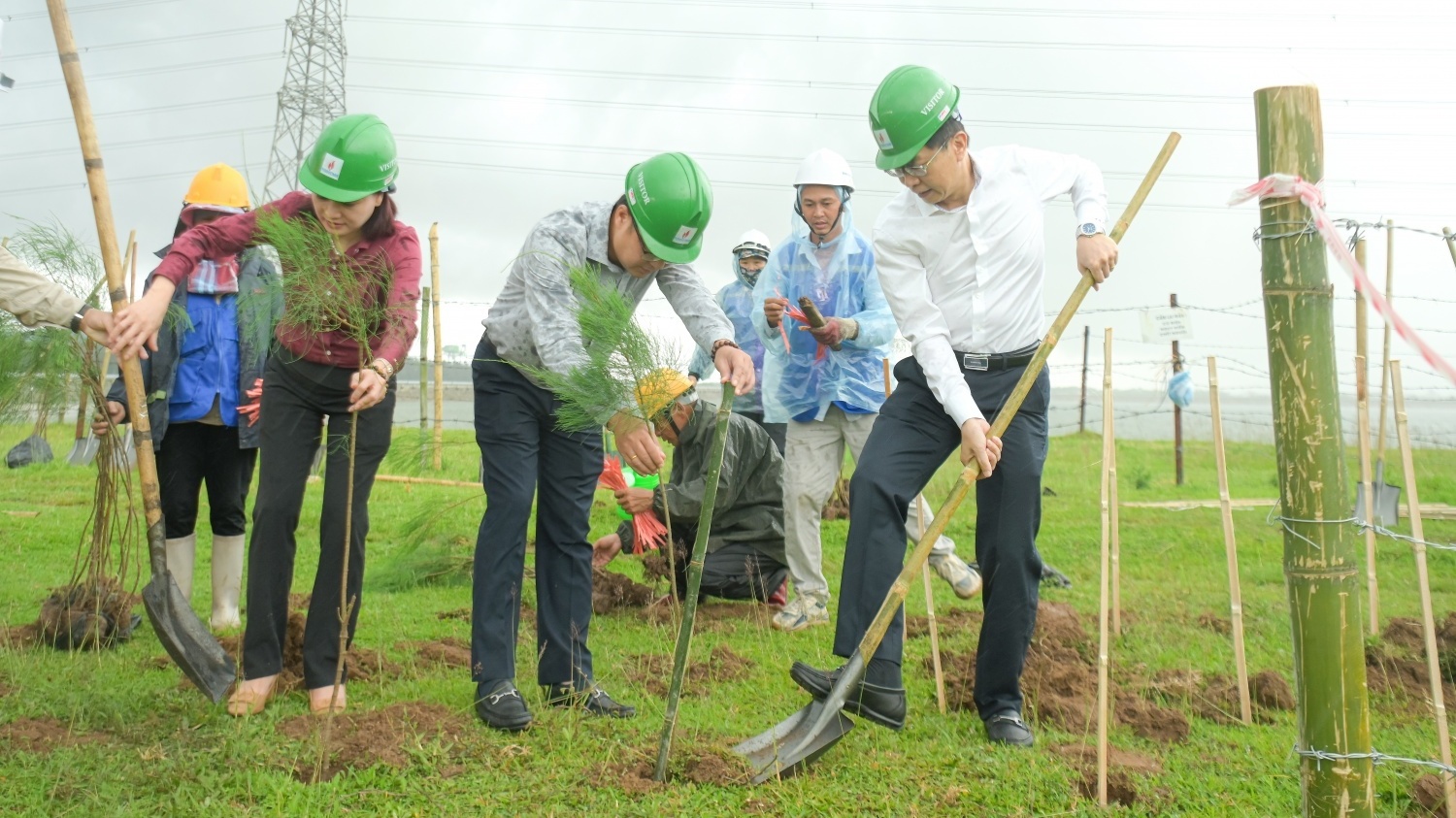 Trồng 11.000 cây xanh tại Nhà máy Nhiệt điện Thái Bình 2