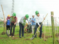 Trồng 11.000 cây xanh tại Nhà máy Nhiệt điện Thái Bình 2