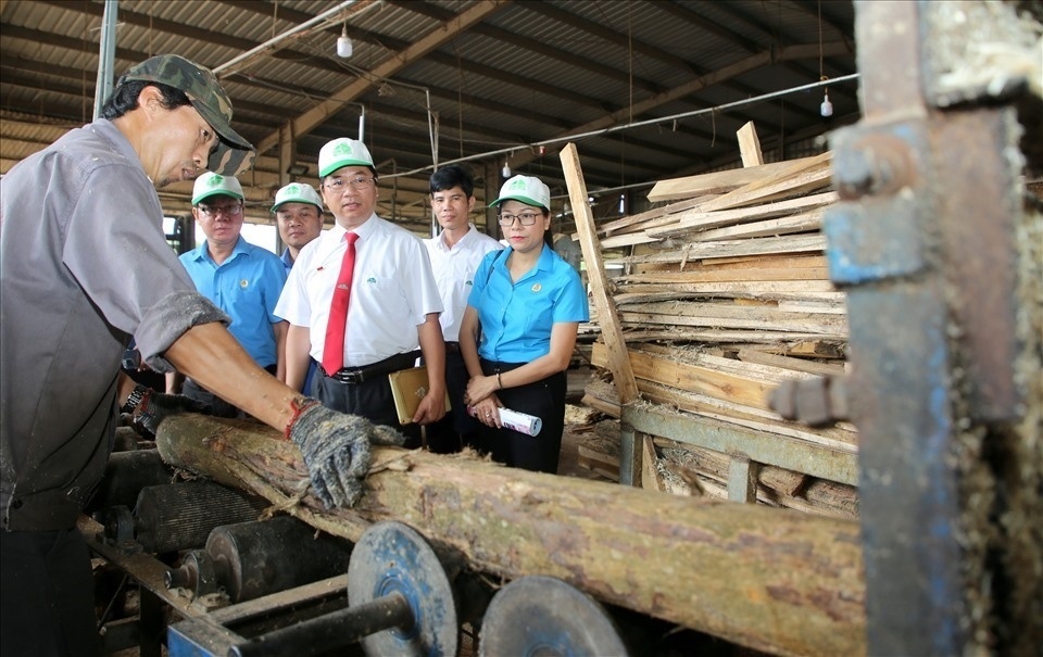 Thỏa ước lao động tập thể nhóm: cánh tay xây dựng quan hệ lao động hài hòa, ổn định