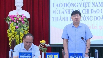 Gia Lai cần chú trọng thu hút lao động trong các doanh nghiệp ngoài nhà nước, vùng sâu, vùng xa