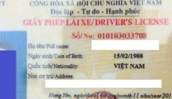 Bằng lái D là gì và dành cho ai?