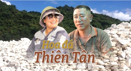 Hoa đá Thiên Tân