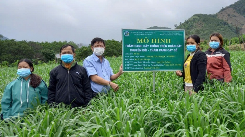 Bình Định phấn đấu giảm tỷ lệ hộ nghèo xuống dưới mức bình quân cả nước