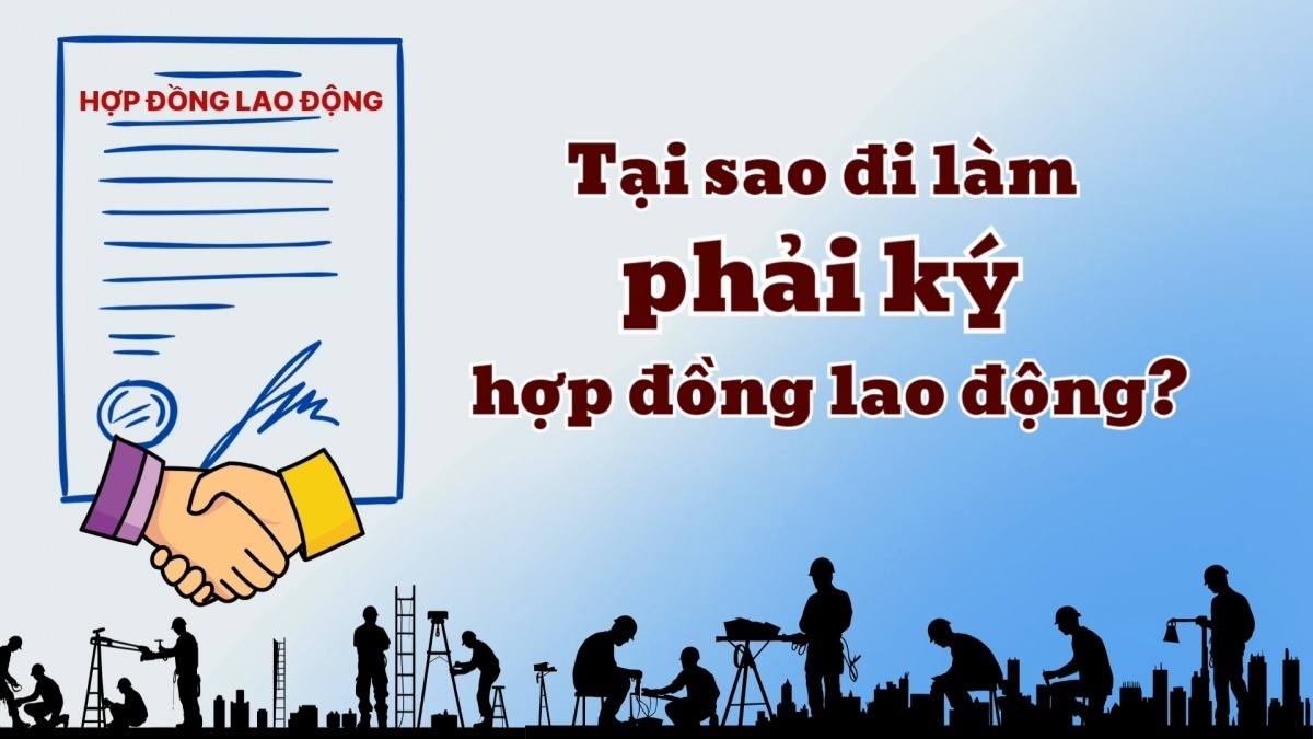 Tại sao đi làm công ty phải ký hợp đồng lao động?