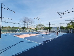 San đất nông nghiệp, làm sân pickleball