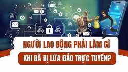 Người lao động phải làm gì khi đã bị lừa đảo trực tuyến?