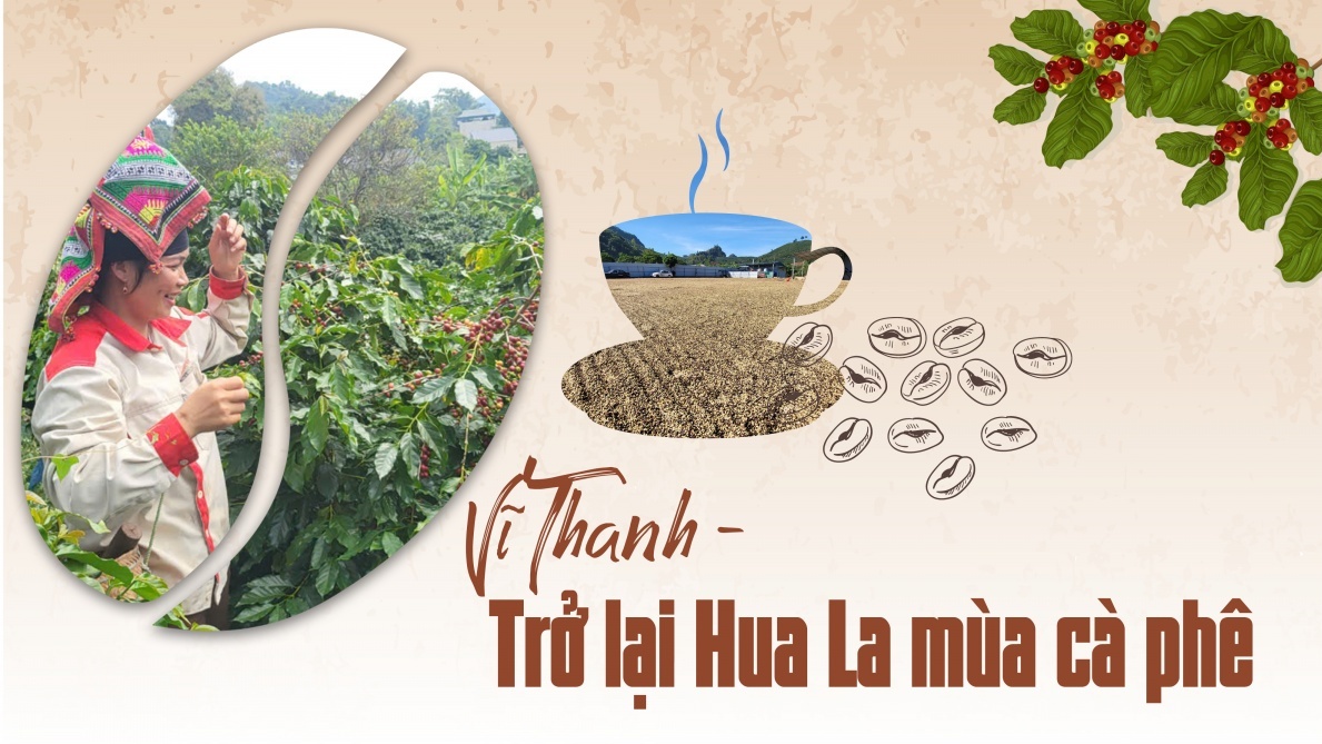 Vĩ thanh - trở lại Hua La mùa cà phê