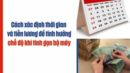 Cách xác định thời gian và tiền lương để tính hưởng chế độ khi tinh gọn bộ máy