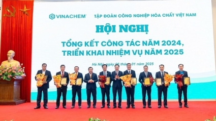 Công đoàn Công nghiệp hóa chất Việt Nam:  Đi sâu, đi sát và hướng về cơ sở