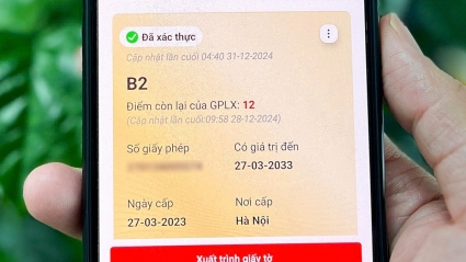 Bị lừa cài app để nhận điểm giấy phép lái xe, người phụ nữ mất trắng 8 triệu đồng