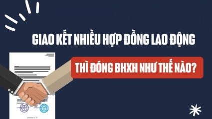 Giao kết nhiều hợp đồng lao động thì đóng BHXH như thế nào?