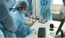 Lần đầu tiên Việt Nam xét nghiệm HLA độ phân giải cao trong ghép tế bào gốc