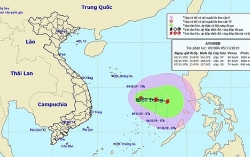 Khẩn trương ứng phó áp thấp nhiệt đới gây gió giật cấp 8 trên Biển Đông
