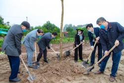 Tết trồng cây của thầy và trò Học viện Nông nghiệp Việt Nam