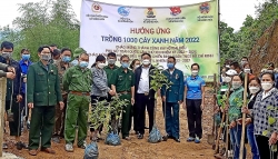 Công đoàn TP. Hòa Bình (tỉnh Hòa Bình) và Công đoàn xã Mông Hóa tích cực trồng cây xanh
